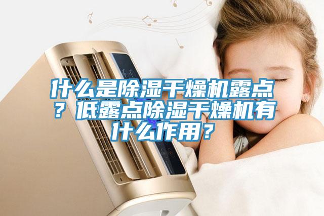 什么是除濕干燥機(jī)露點(diǎn)？低露點(diǎn)除濕干燥機(jī)有什么作用？