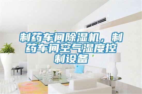 制藥車間除濕機，制藥車間空氣濕度控制設(shè)備