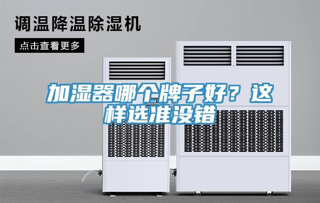 加濕器哪個牌子好？這樣選準沒錯