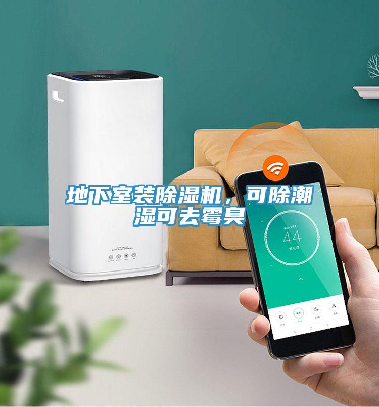 地下室裝除濕機，可除潮濕可去霉臭