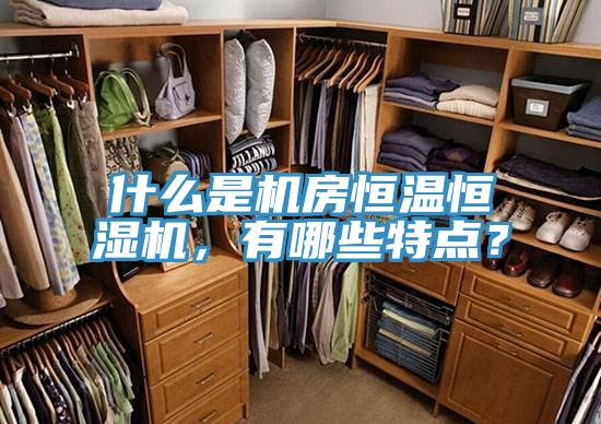 什么是機(jī)房恒溫恒濕機(jī)，有哪些特點(diǎn)？