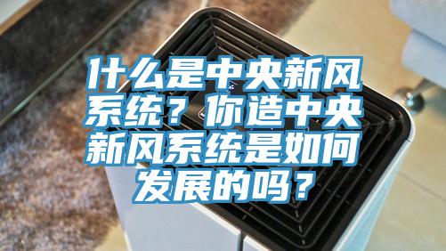 什么是中央新風(fēng)系統(tǒng)？你造中央新風(fēng)系統(tǒng)是如何發(fā)展的嗎？