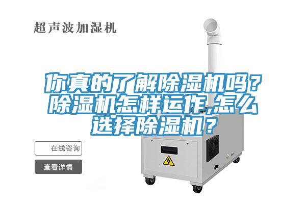 你真的了解除濕機嗎？除濕機怎樣運作,怎么選擇除濕機？