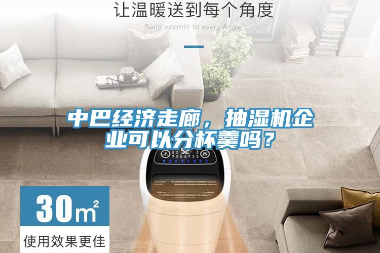 中巴經(jīng)濟(jì)走廊，抽濕機(jī)企業(yè)可以分杯羹嗎？
