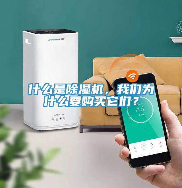 什么是除濕機(jī)，我們?yōu)槭裁匆?gòu)買(mǎi)它們？