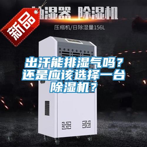 出汗能排濕氣嗎？還是應(yīng)該選擇一臺(tái)除濕機(jī)？