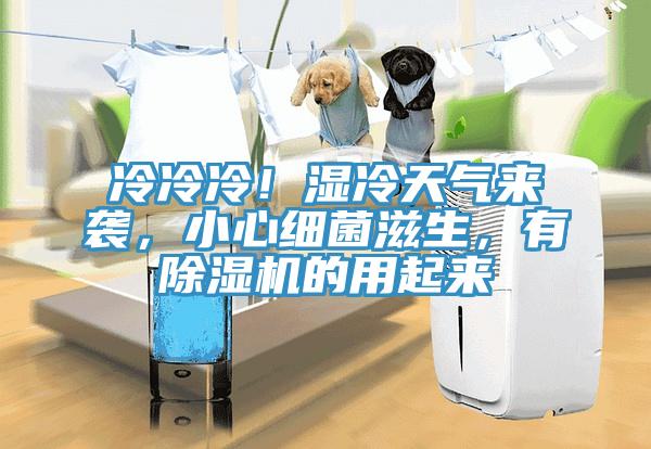 冷冷冷！濕冷天氣來襲，小心細菌滋生，有除濕機的用起來