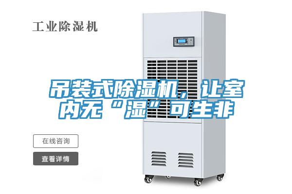 吊裝式除濕機(jī)，讓室內(nèi)無“濕”可生非