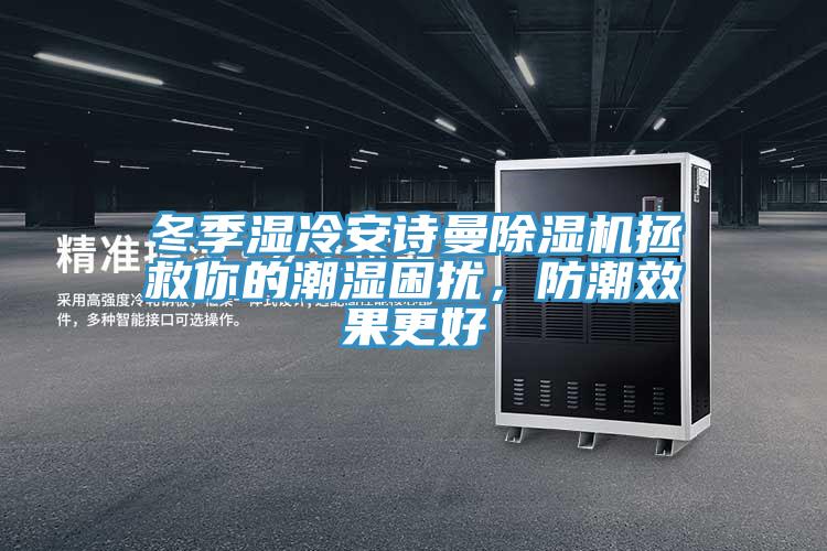 冬季濕冷安詩曼除濕機拯救你的潮濕困擾，防潮效果更好