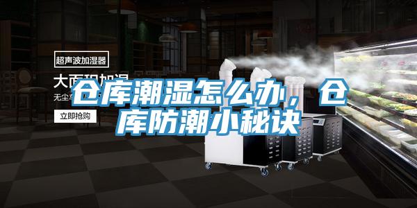 倉庫潮濕怎么辦，倉庫防潮小秘訣