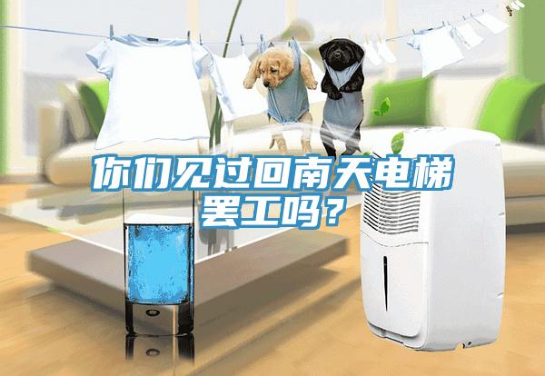 你們見過回南天電梯罷工嗎？