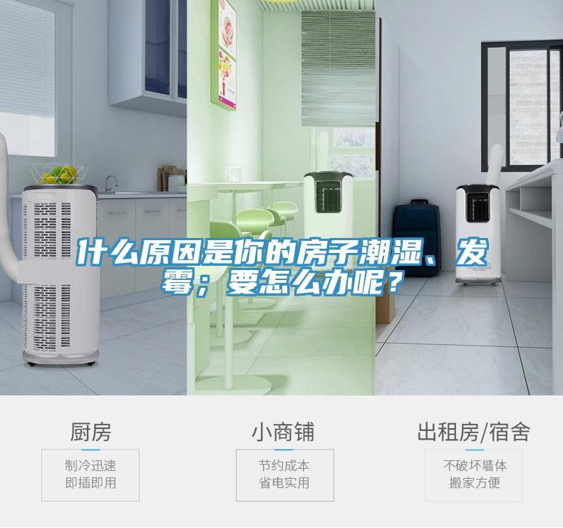 什么原因是你的房子潮濕、發(fā)霉；要怎么辦呢？