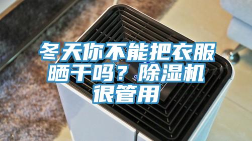 冬天你不能把衣服曬干嗎？除濕機(jī)很管用