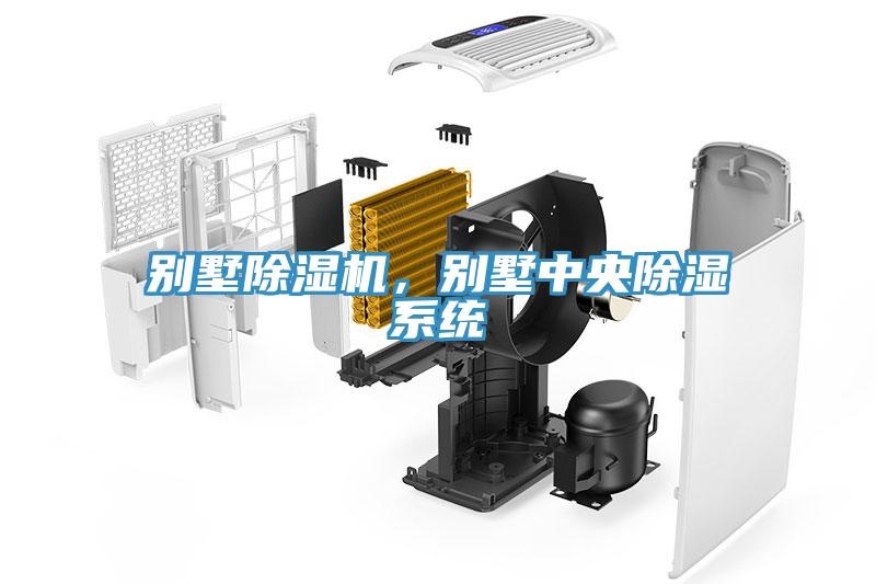 別墅除濕機(jī)，別墅中央除濕系統(tǒng)