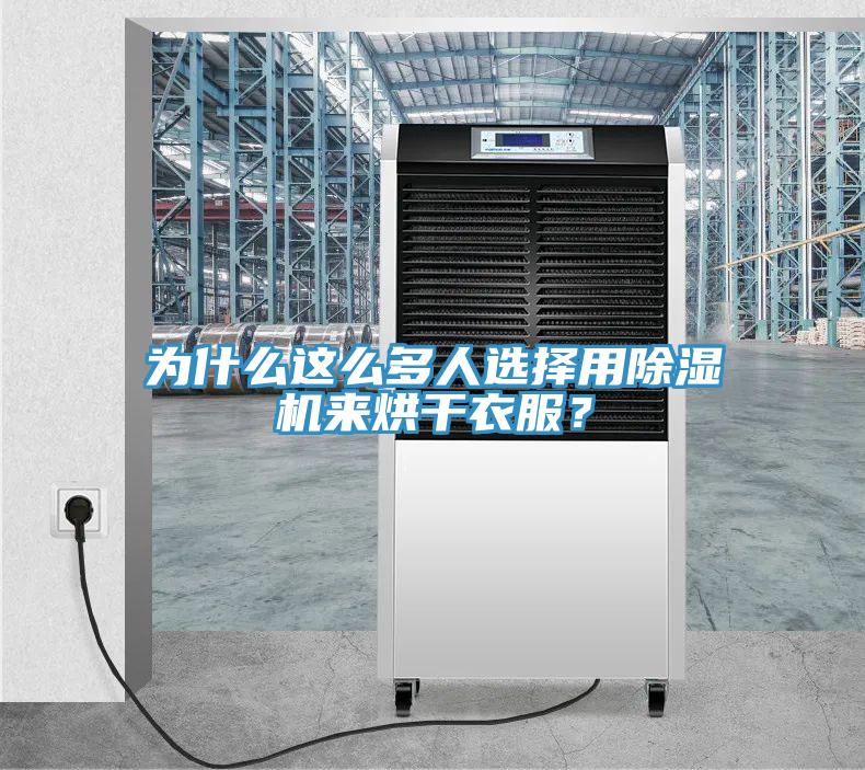 為什么這么多人選擇用除濕機來烘干衣服？