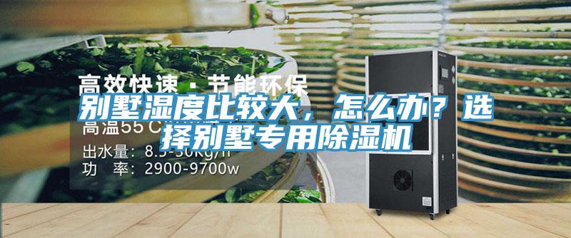 別墅濕度比較大，怎么辦？選擇別墅專用除濕機