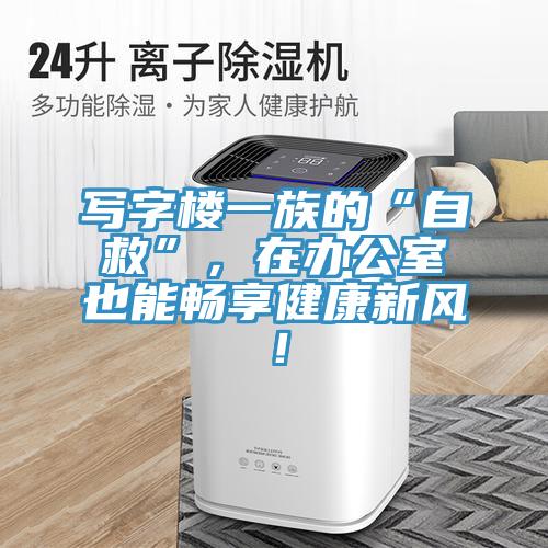 寫字樓一族的“自救”，在辦公室也能暢享健康新風(fēng)！
