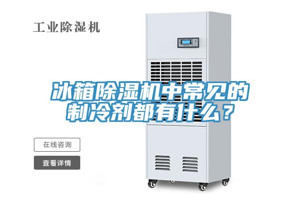 冰箱除濕機中常見的制冷劑都有什么？
