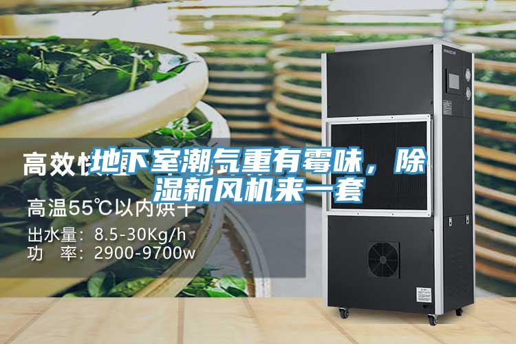 地下室潮氣重有霉味，除濕新風(fēng)機來一套
