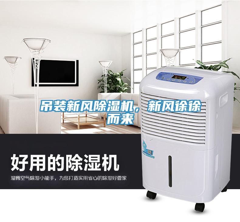 吊裝新風(fēng)除濕機(jī)，新風(fēng)徐徐而來