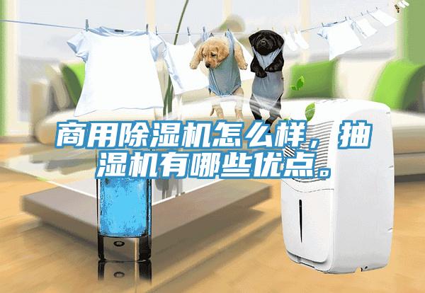 商用除濕機怎么樣，抽濕機有哪些優(yōu)點。