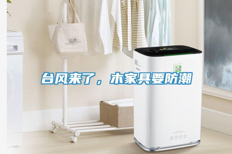 臺風(fēng)來了，木家具要防潮