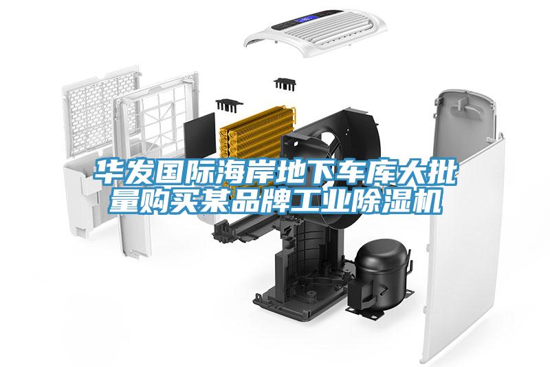 華發(fā)國(guó)際海岸地下車(chē)庫(kù)大批量購(gòu)買(mǎi)某品牌工業(yè)除濕機(jī)
