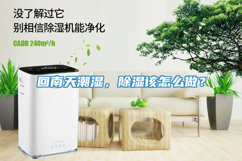 回南天潮濕，除濕該怎么做？