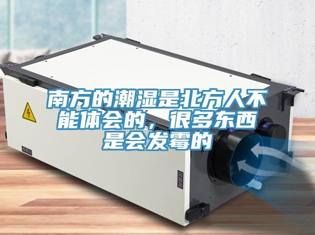 南方的潮濕是北方人不能體會的，很多東西是會發(fā)霉的