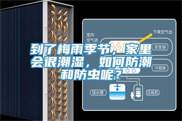 到了梅雨季節(jié)，家里會(huì)很潮濕，如何防潮和防蟲呢？