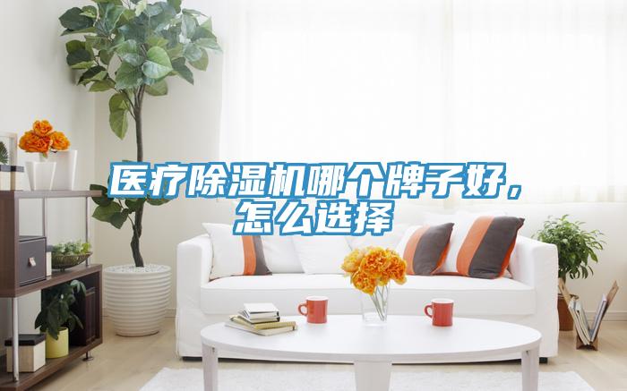 醫(yī)療除濕機(jī)哪個(gè)牌子好，怎么選擇