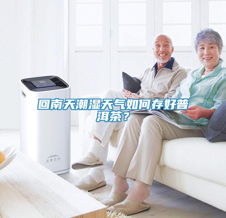 回南天潮濕天氣如何存好普洱茶？