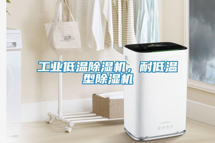 工業(yè)低溫除濕機(jī)，耐低溫型除濕機(jī)