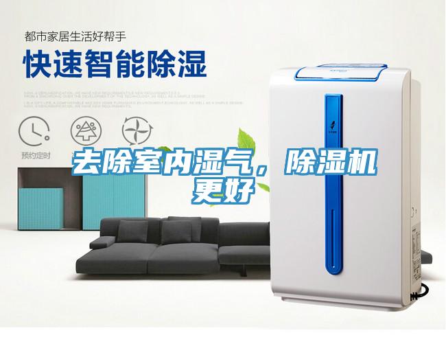去除室內濕氣，除濕機更好