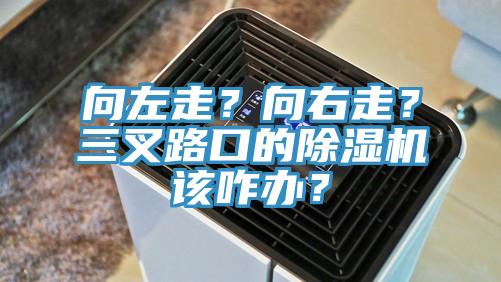 向左走？向右走？三叉路口的除濕機該咋辦？