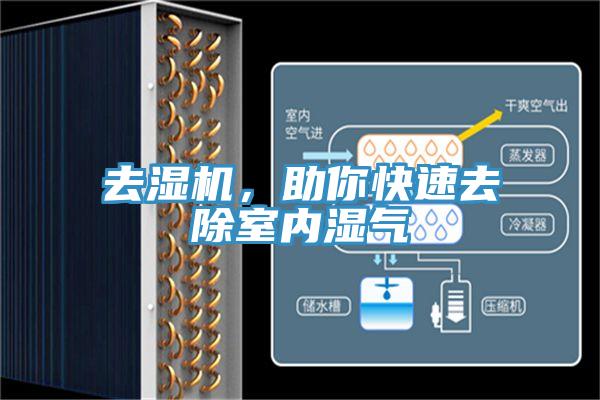 去濕機(jī)，助你快速去除室內(nèi)濕氣