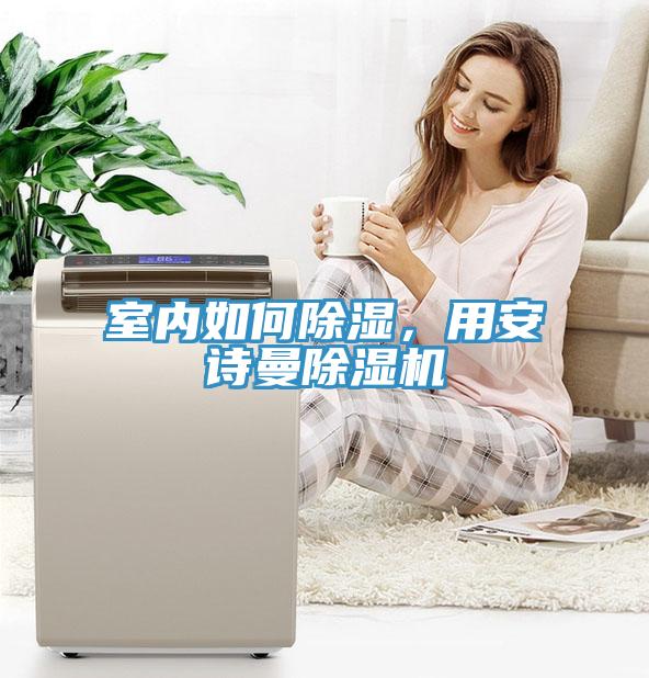 室內(nèi)如何除濕，用安詩曼除濕機