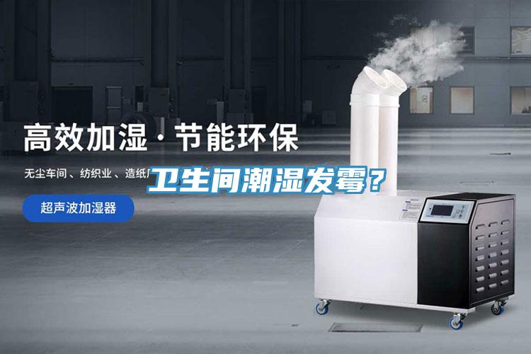 衛(wèi)生間潮濕發(fā)霉？