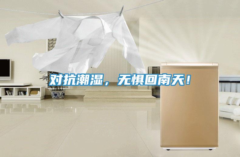 對抗潮濕，無懼回南天！