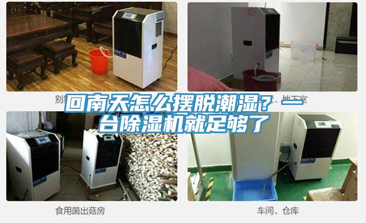 回南天怎么擺脫潮濕？一臺除濕機就足夠了