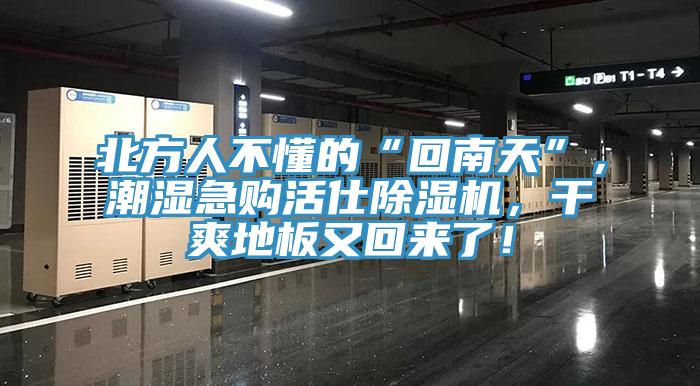 北方人不懂的“回南天”，潮濕急購活仕除濕機，干爽地板又回來了！