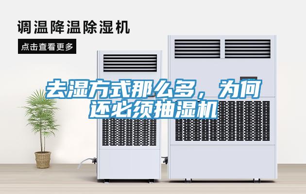 去濕方式那么多，為何還必須抽濕機(jī)