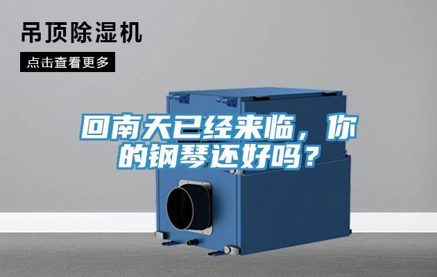 回南天已經(jīng)來(lái)臨，你的鋼琴還好嗎？