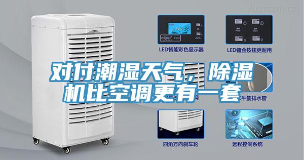 對付潮濕天氣，除濕機比空調(diào)更有一套