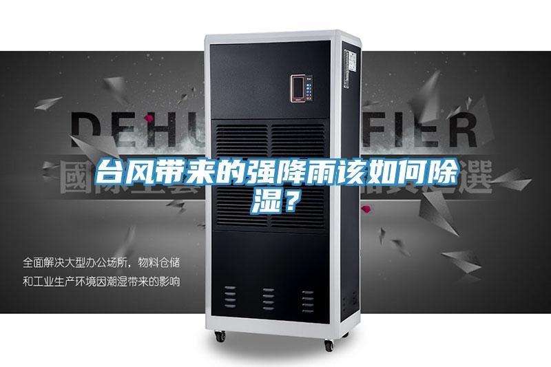 臺風(fēng)帶來的強降雨該如何除濕？