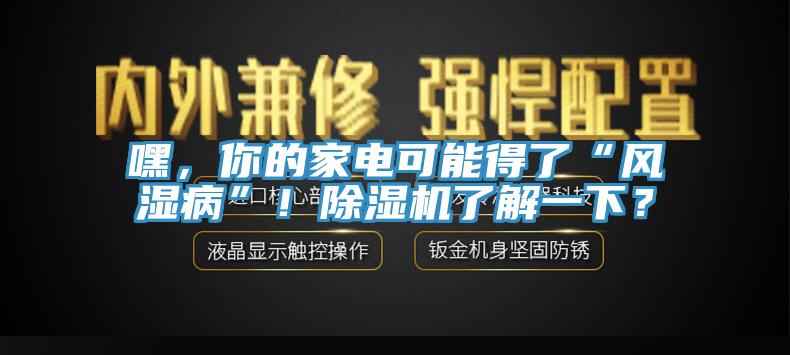 嘿，你的家電可能得了“風(fēng)濕病”！除濕機(jī)了解一下？