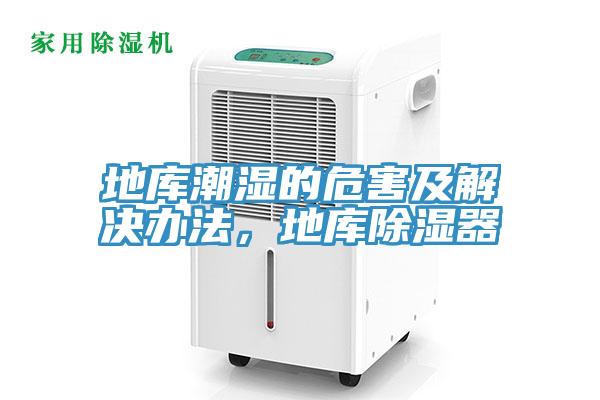 地庫潮濕的危害及解決辦法，地庫除濕器