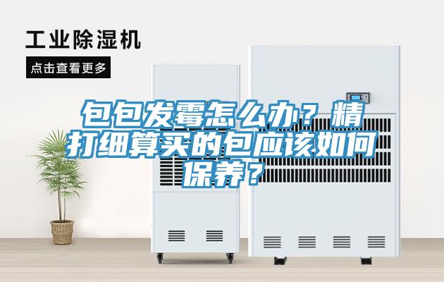 包包發(fā)霉怎么辦？精打細算買的包應該如何保養(yǎng)？