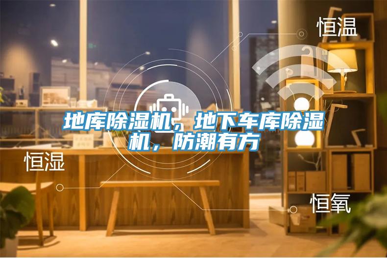 地庫除濕機，地下車庫除濕機，防潮有方