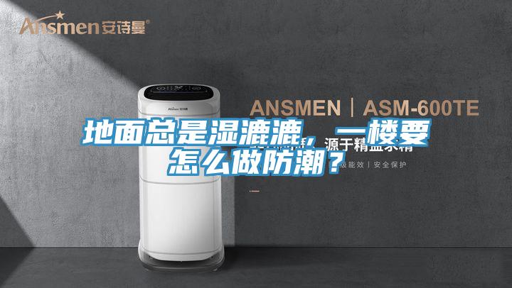 地面總是濕漉漉，一樓要怎么做防潮？
